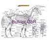 Equine Anatomy Chart - Bones & Muscles - German