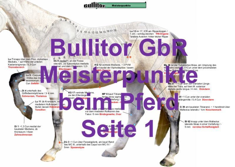 Akupunkturpunkte Pferd - Extra Set 2020 - Meisterpunkte