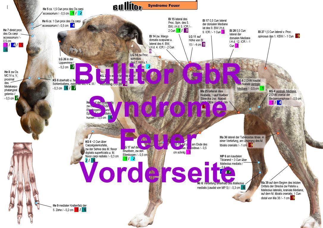 140 Hund Syndrome 2020