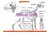 Akupunkturpunkte beim Hund - Standard Set